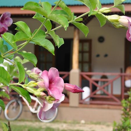 Paodise Guesthouse La Digue Buitenkant foto